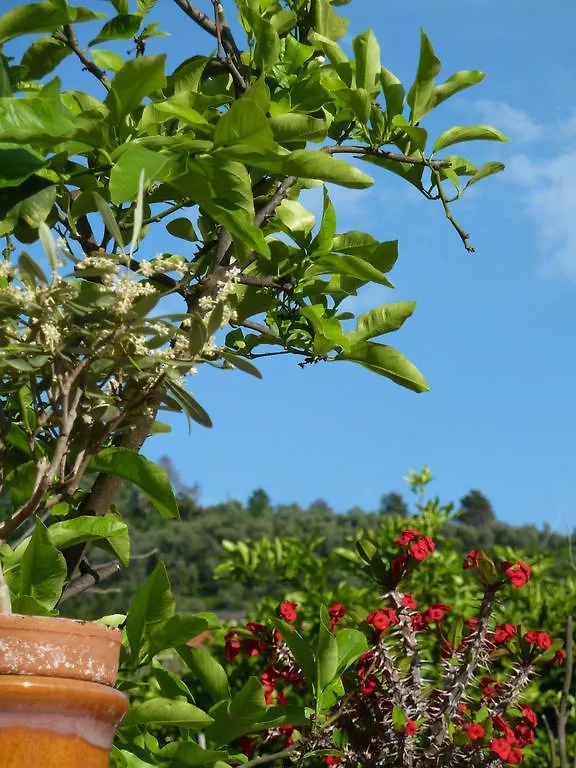 A Durmi Hotel Levanto