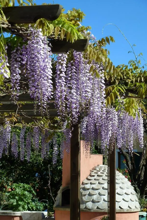 A Durmi Hotel Levanto