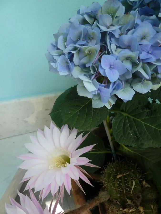 Guest house A Durmi Hotel Levanto